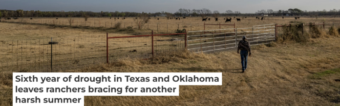 A farmer near Quemado, Texas, prepares to take hay to cattle amid the drought in June 2022. Brandon Bell/Getty Images